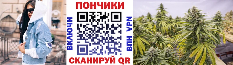 Наркотические вещества Элиста Бошки Шишки  Метадон  ГАШИШ  Псилоцибиновые грибы  Меф  Альфа ПВП 