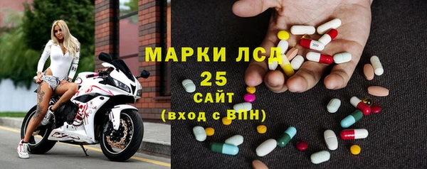 сатива Абинск