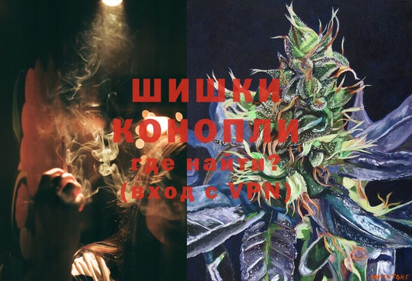 сатива Абинск