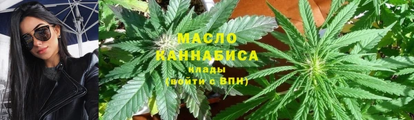сатива Абинск