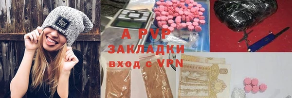 сатива Абинск