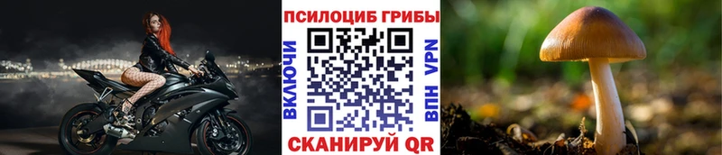 Псилоцибиновые грибы ЛСД  Элиста 