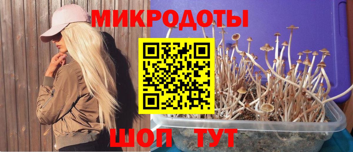 Псилоцибиновые грибы ЛСД  Галлюциногенные грибы GOLDEN TEACHER  Вход с VPN  Элиста 
