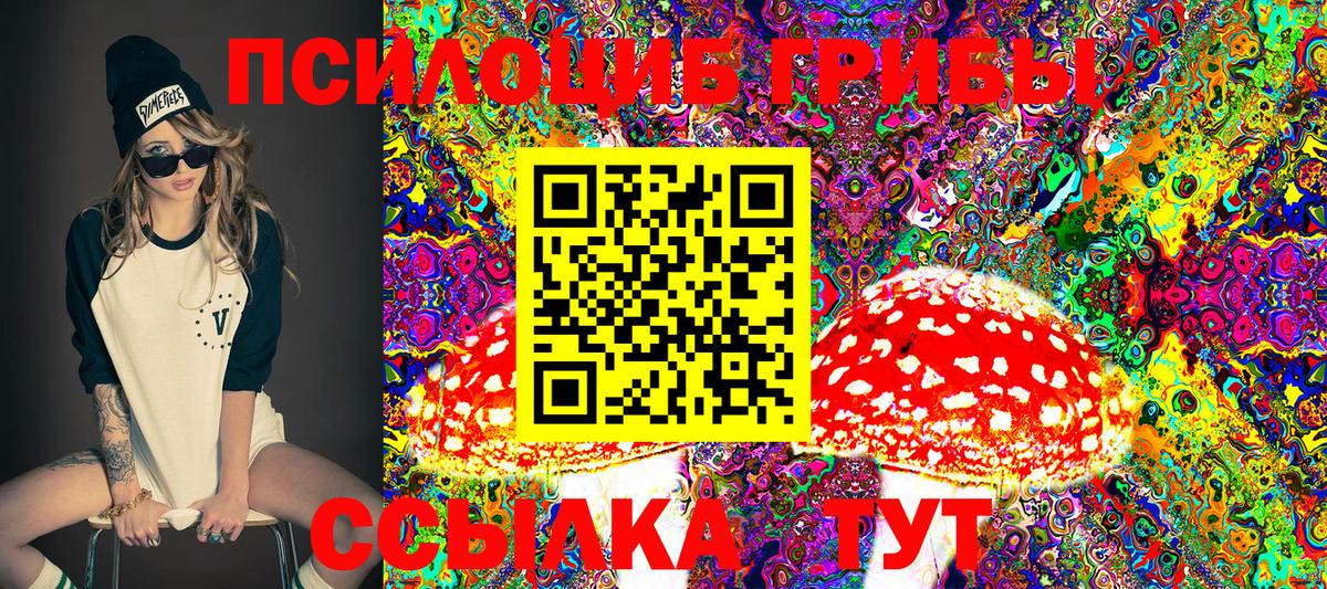 Псилоцибиновые грибы ЛСД Элиста