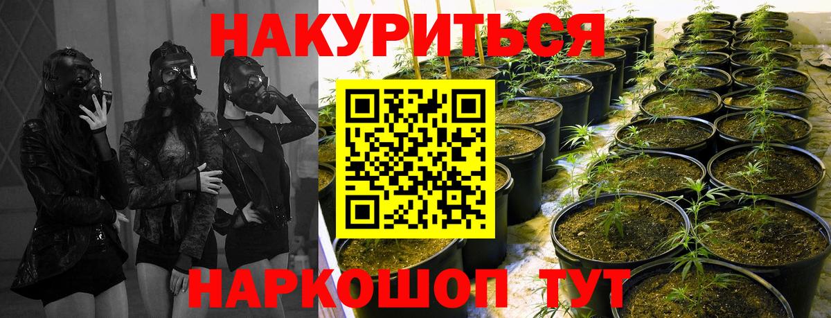 Каннабис марихуана  Марихуана LSD WEED  Элиста  Каннабис сатива  Конопля семена  Вход с VPN 